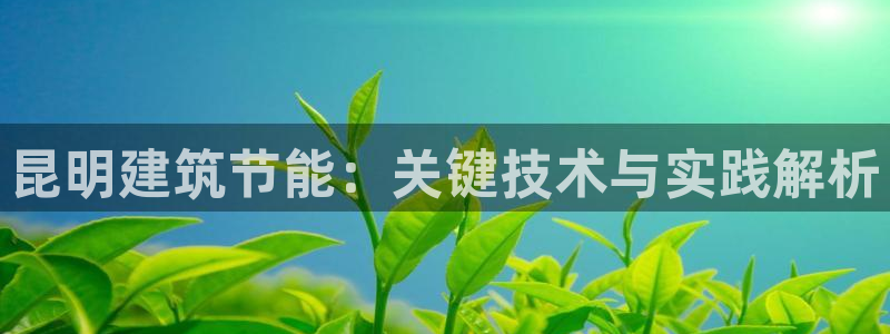 e尊国际客服：昆明建筑节能：关键技术与实践解析